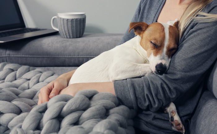 飼い主に抱っこされて寝ている犬