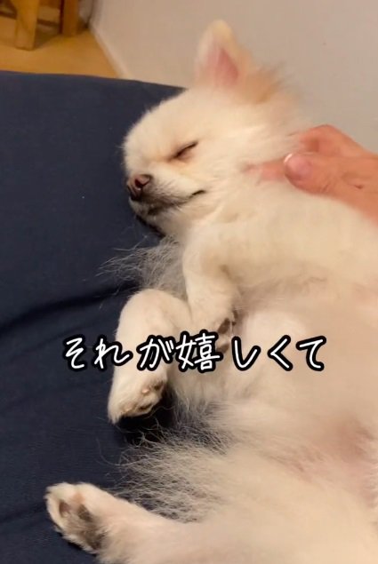 眠るゆめちゃん