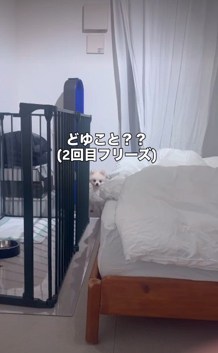 「どういうこと…？」