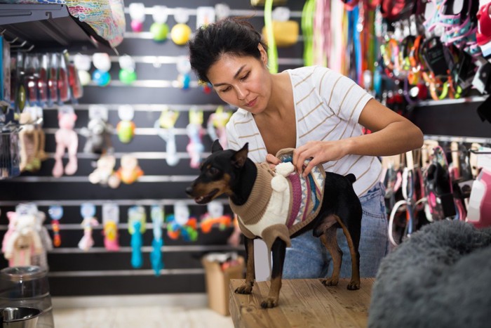 犬に洋服を着せる様子