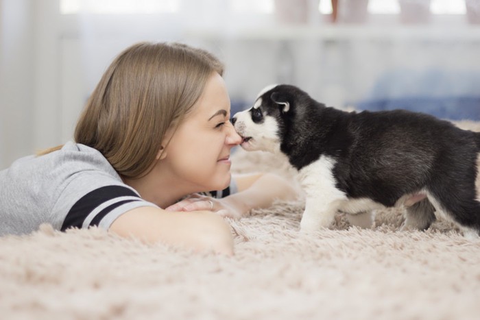 犬と女性