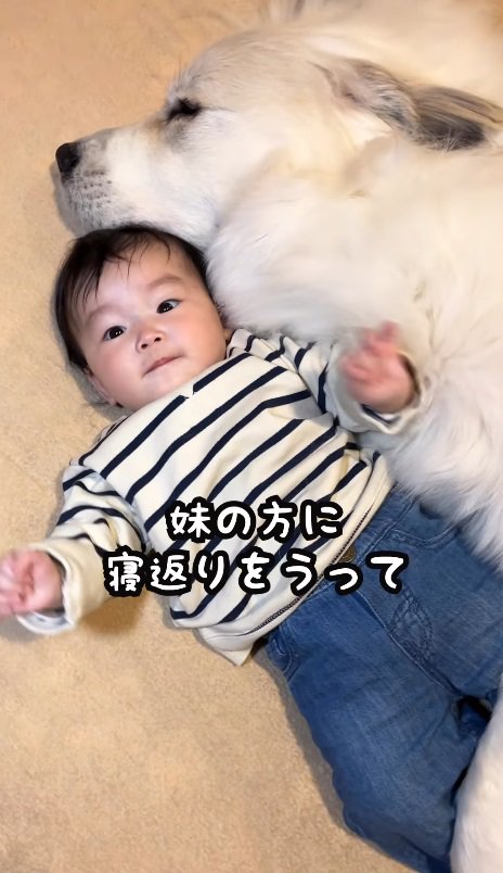 LONOちゃんの方に寝返りを打って…