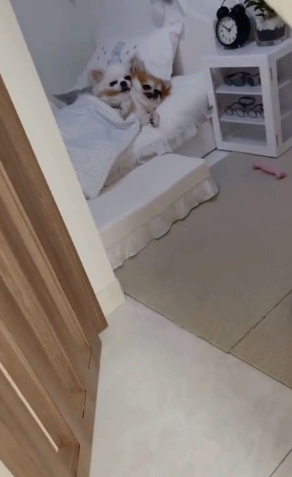 DIY後の部屋