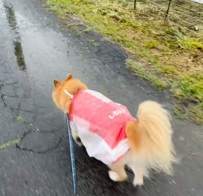 ビニール袋でできたカッパ!!