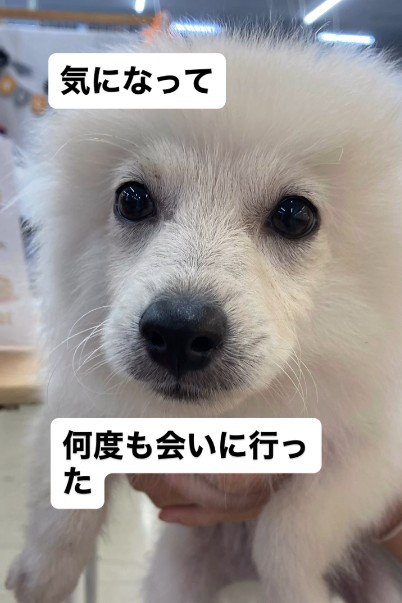 忘れられなくなってしまった…