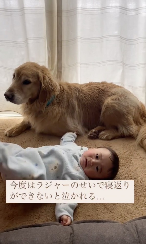 泣いちゃった