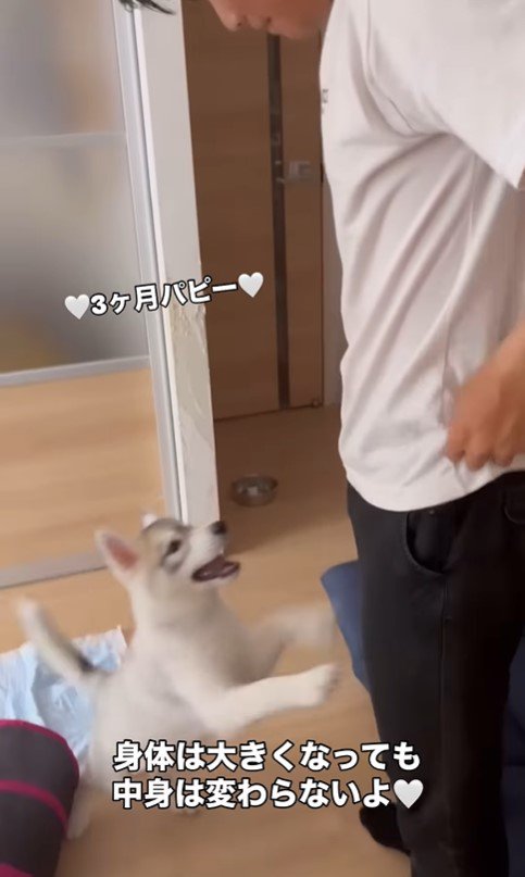 イヴちゃんとお兄ちゃん2