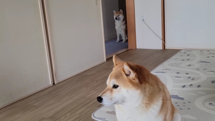 どこにもいない…