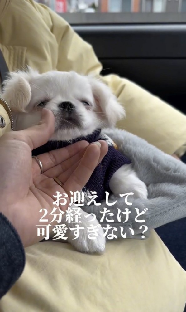 ウットリ…