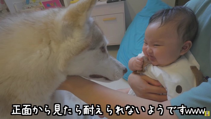 顔を見ただけで大爆笑！！