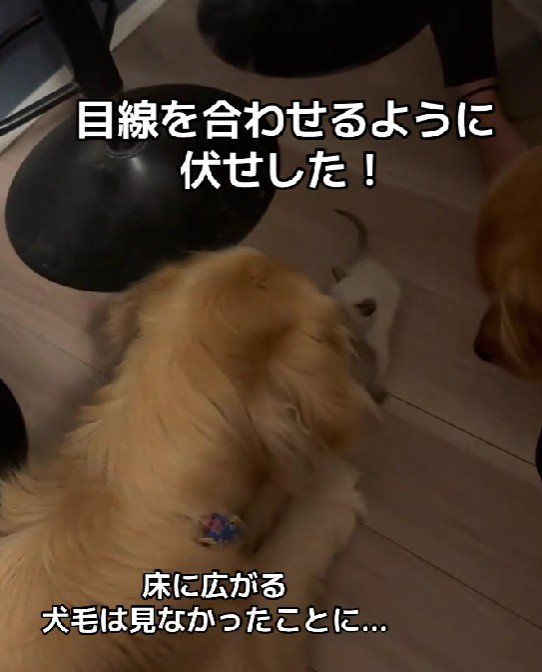 優しい姿にほっこり