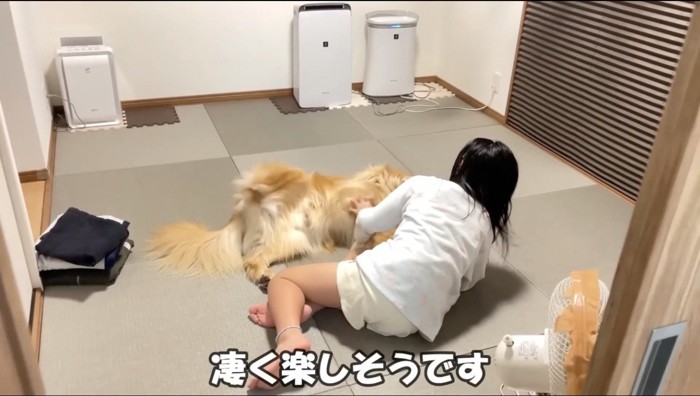 犬とじゃれ合う女の子