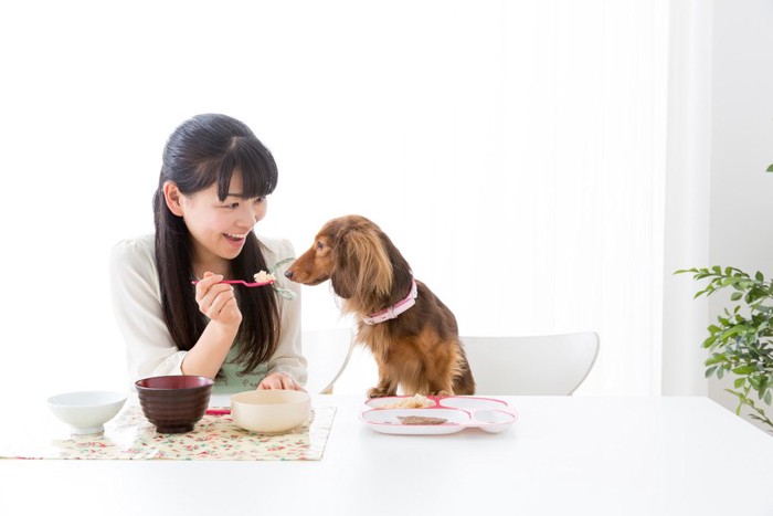 犬にご飯を食べさせる女性