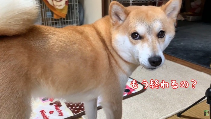 一瞬でご不満顔に!
