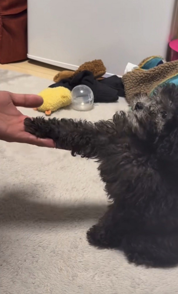 床と並行なお手