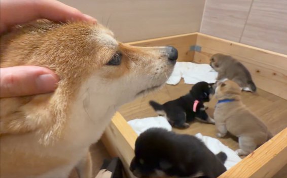 ほっこり