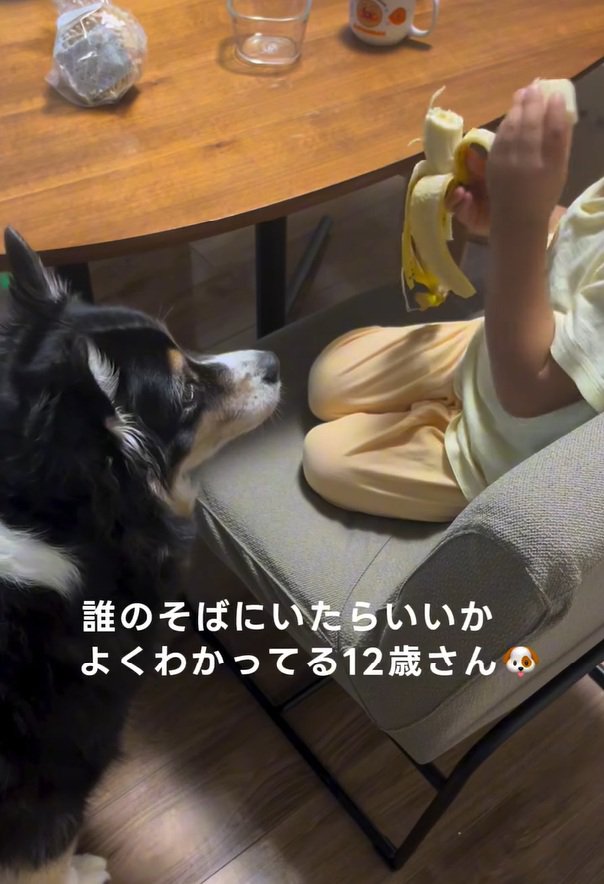 バナナをちぎる息子さん