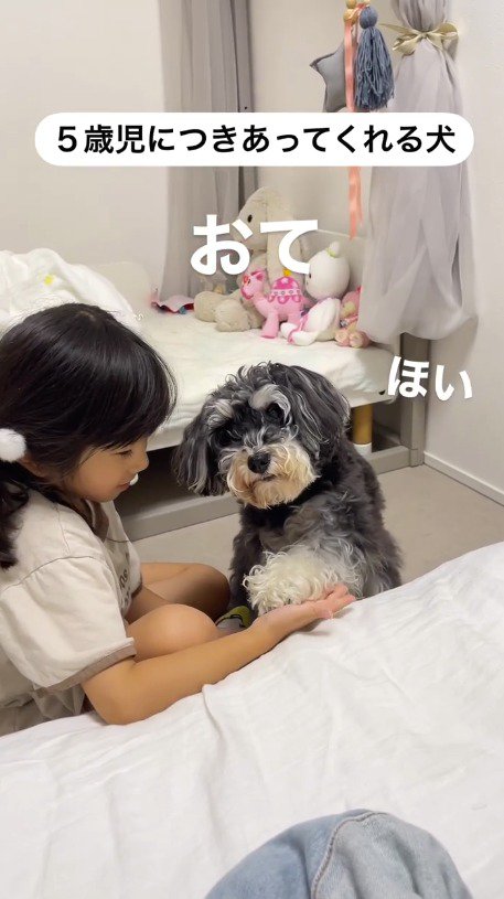 女の子の手に前足を乗せる犬
