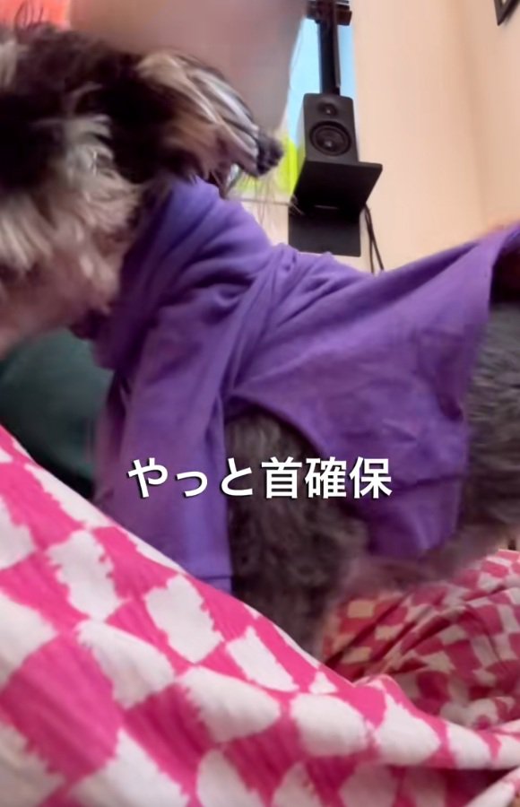 首が通ったジジくん