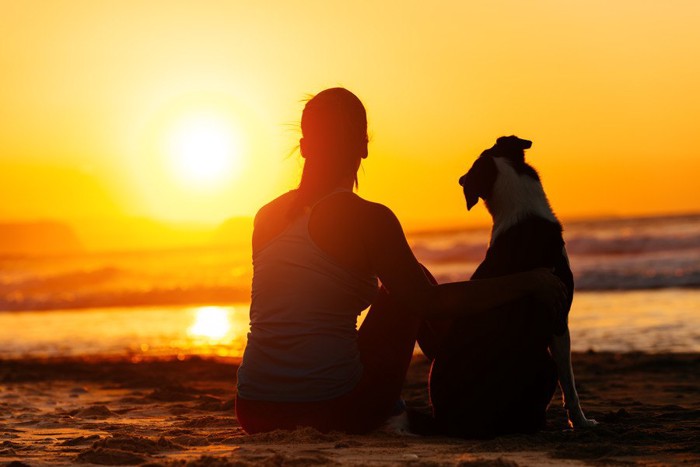 サンセットを見つめる女性と犬