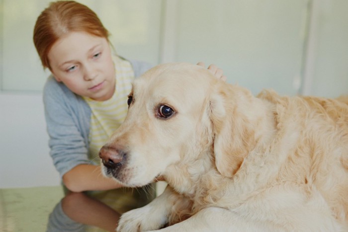 怯える犬をなだめる女性