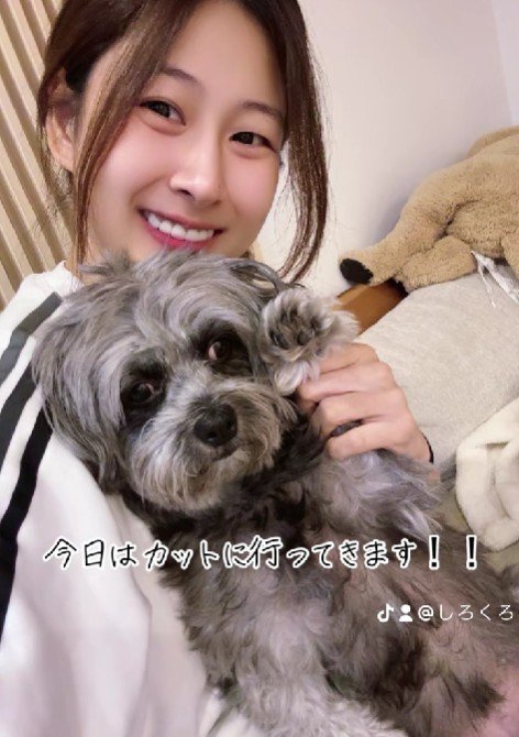 くろちゃん、トリミングへ