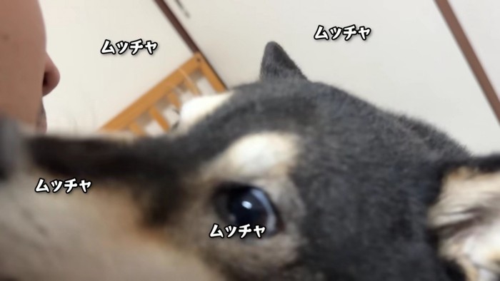 突然ヒゲを舐める一幕も…