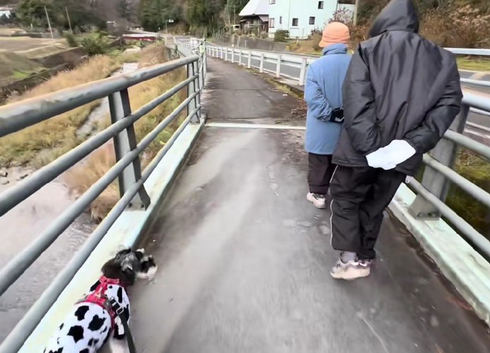 おじいちゃんとおばあちゃんと散歩