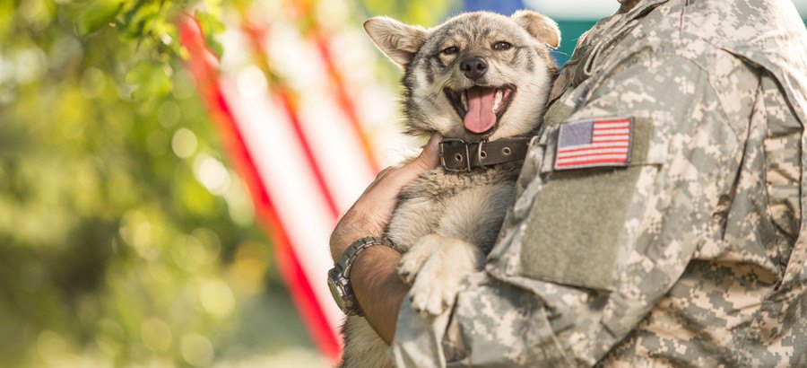 犬を抱いた兵士