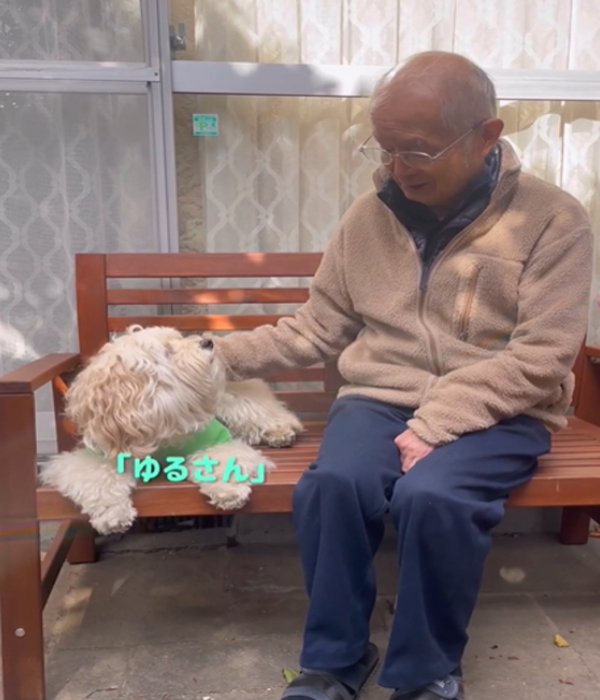 怒る犬2