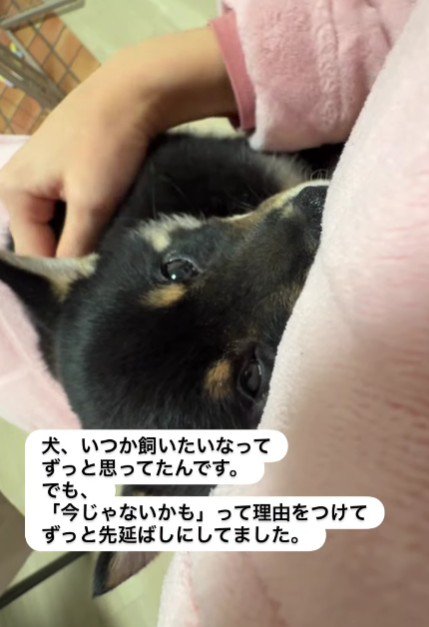 犬との暮らしが憧れだった