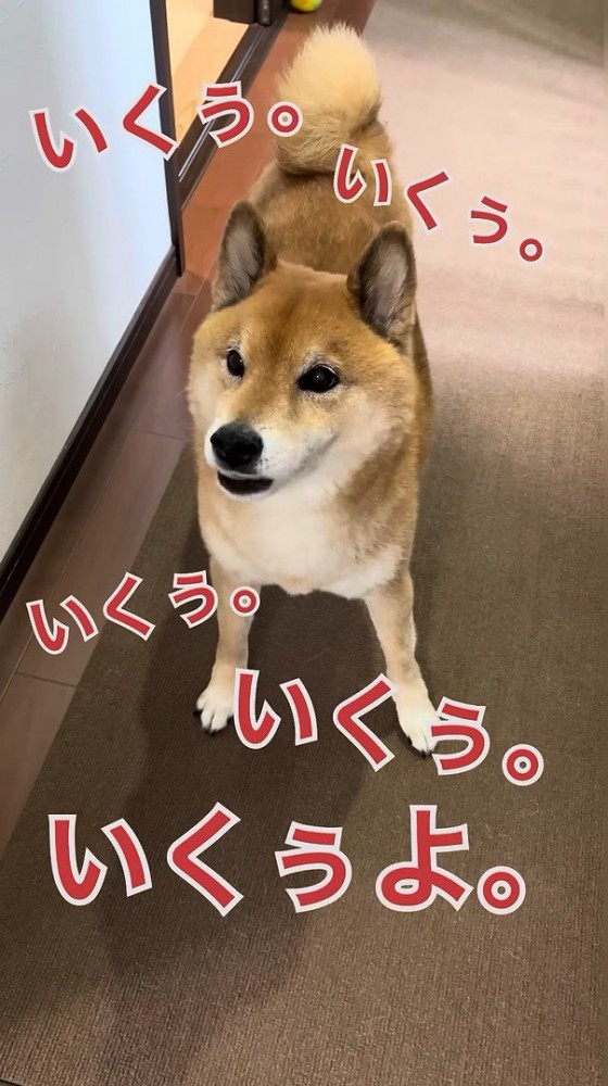 「行くぅ~っ」と鳴いてアピール