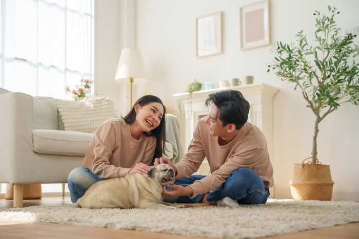 夫婦と犬