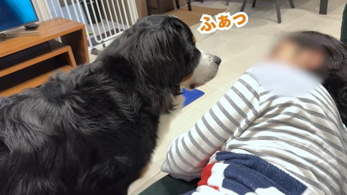 ごろ寝する男性と犬