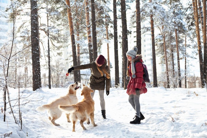 雪の中で遊ぶ女性と犬