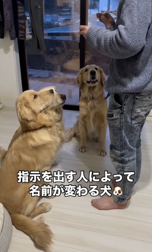 オスワリ中