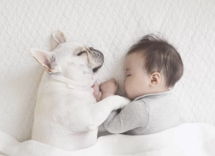 眠る赤ちゃんに寄り添う犬