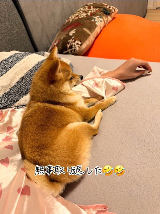 満足そう♪