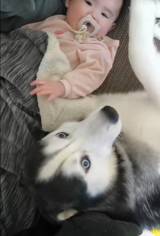 諭吉くんと赤ちゃん4