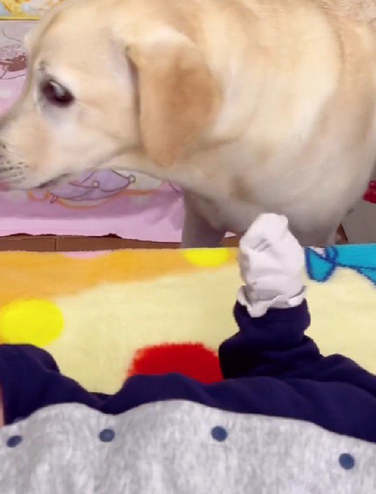 「どうしたらいいかな？」