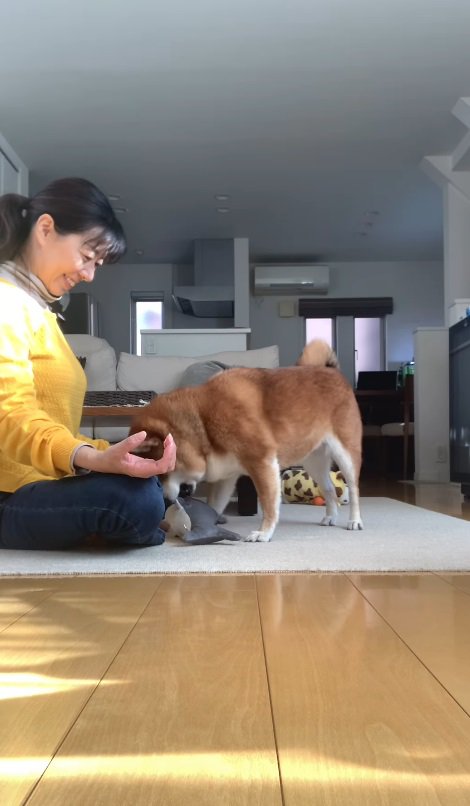 無邪気さの前では無理難題！