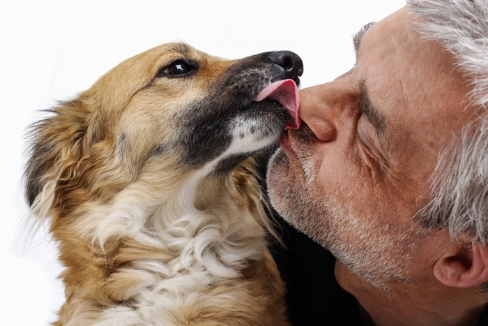 飼い主を舐める犬