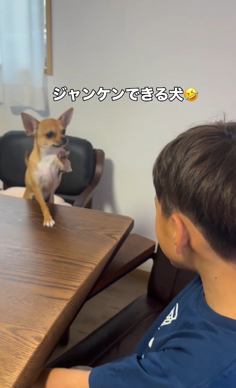 掛け声に合わせて、お手々を上げ下げ♪