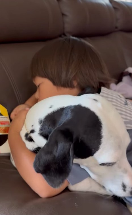 大型犬を抱きしめる子供