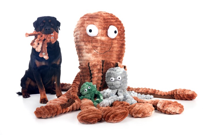 タコのぬいぐるみを口にくわえている犬