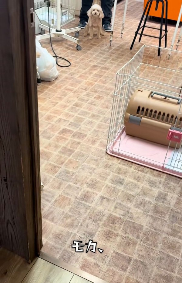 名前を呼ぶママ