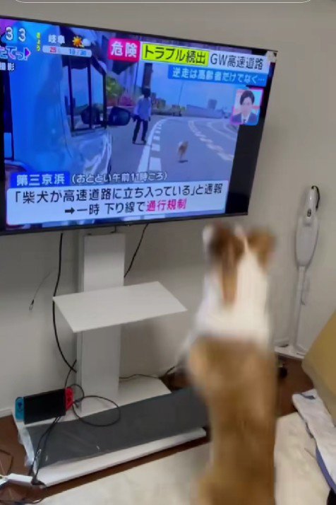 ジャンプ！！
