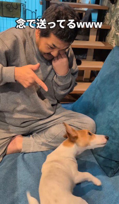 念を送ってみたら…！？