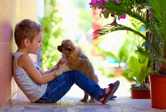 向き合っている子犬と男の子