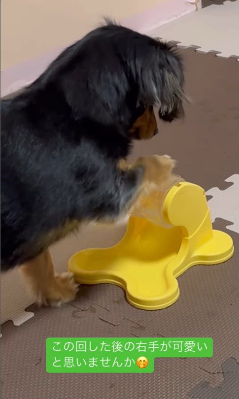 ごはんが出るオモチャで遊ぶれん君